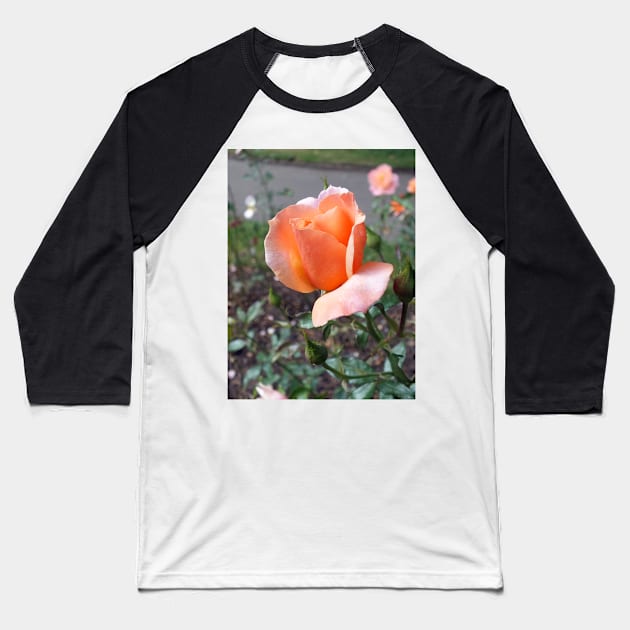 Peach Rosebud Baseball T-Shirt by pinkal